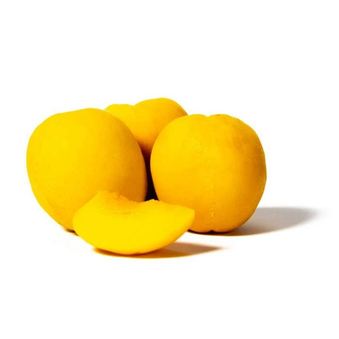 Prunus 'Tomcot' | Apricot Tree 3 Prunus 'Tomcot' | Apricot Tree