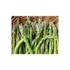 20-30cm 5 x Asparagus Guelph Millennium Bare Root 1 20-30cm 5 x Asparagus Guelph Millennium Bare Root -FruitSprout Shop TR0591 main image f867