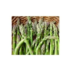 20-30cm 5 x Asparagus Guelph Millennium Bare Root