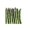 20-30cm 5 x Asparagus Pacific 2000 Bare Root -FruitSprout Shop TR0592 main image 6345