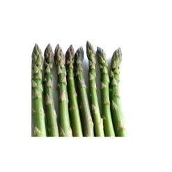 20-30cm 5 x Asparagus Pacific 2000 Bare Root