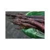 20-30cm 5 x Asparagus Pacific Purple Bare Root 1 20-30cm 5 x Asparagus Pacific Purple Bare Root -FruitSprout Shop TR0593 main image 0aff
