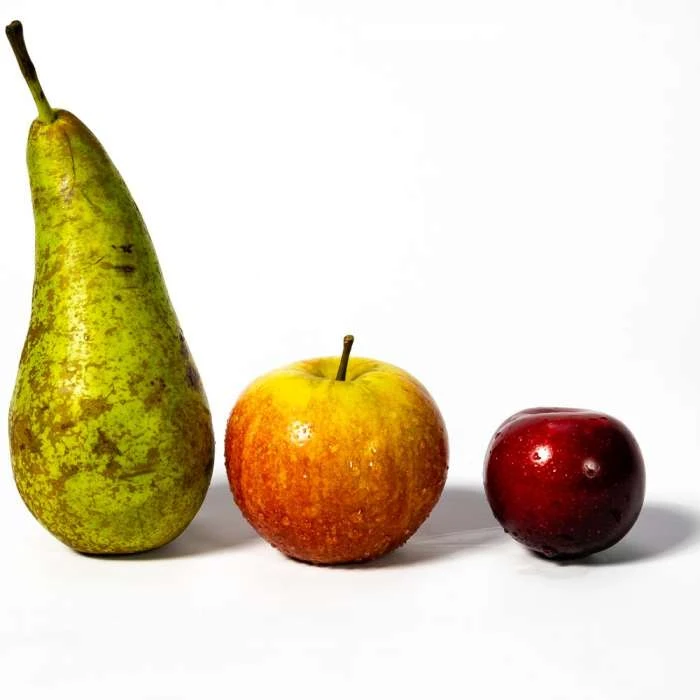 4-5ft Mini Orchard Fruit Tree Collection | Apple, Pear & Plum 4 4-5ft Mini Orchard Fruit Tree Collection | Apple, Pear & Plum - Image 2